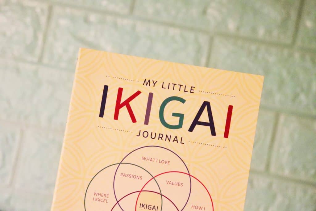 How Can I find my Ikigai? 