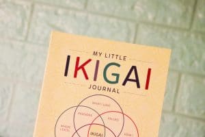 Read more about the article How Can I find my Ikigai? 5 ways to find your purpose.